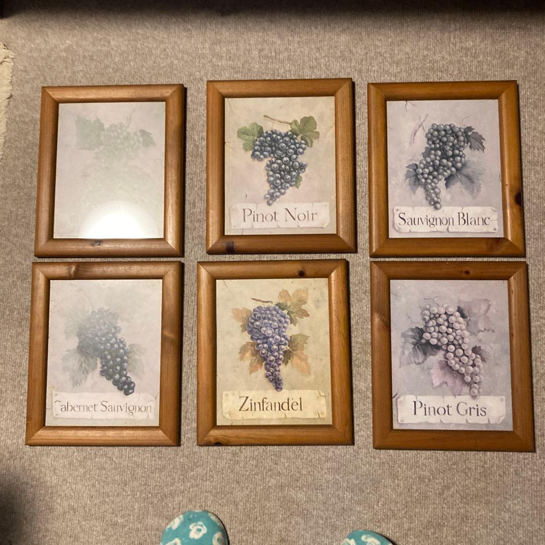 ワイン用ブドウの絵画セット6￼点セット