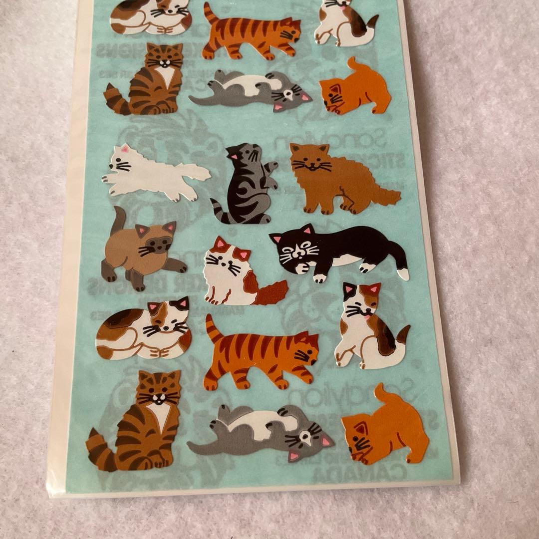 サンディライオン　SANDYLION　ネコ　猫