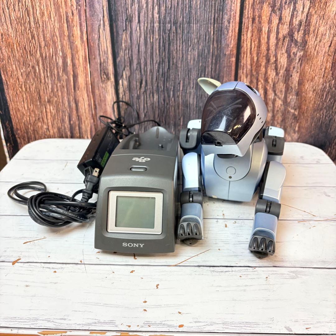 SONY ソニー AIBO アイボ ERA-210P1 シルバー 通電確認済