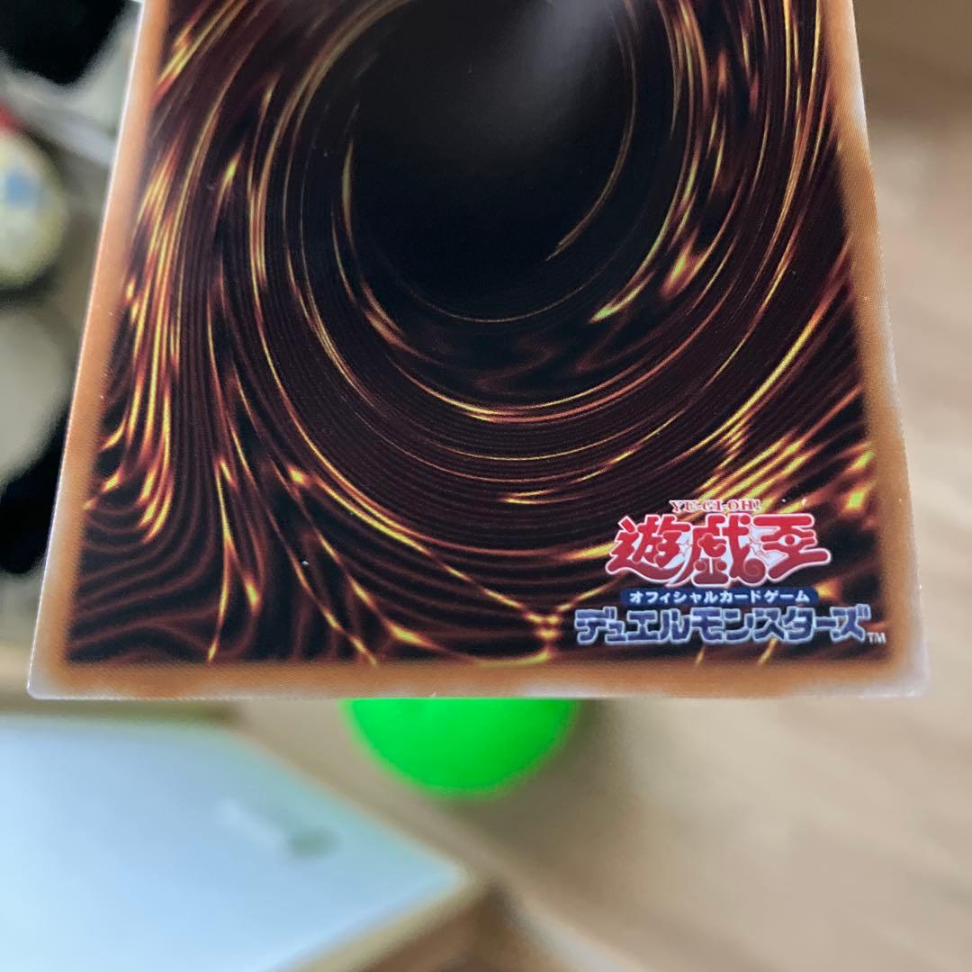 聖域を護せし光の龍 WPP6-JP082