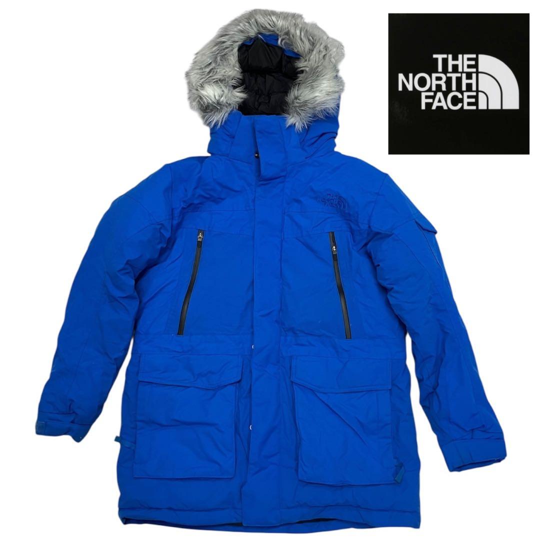 THE NORTH FACE 100 L ダウン マウンテンパーカー