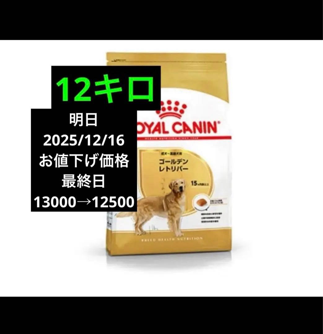  CANIN ゴールデンレトリバー 12キロ