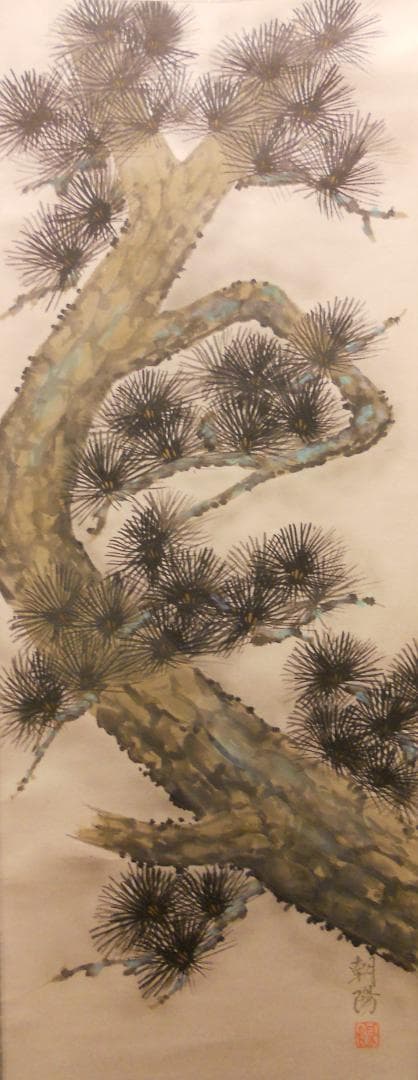 掛け軸 小川朝陽 老松 紙本 希少 軸装 茶道具 掛軸 美品 です。