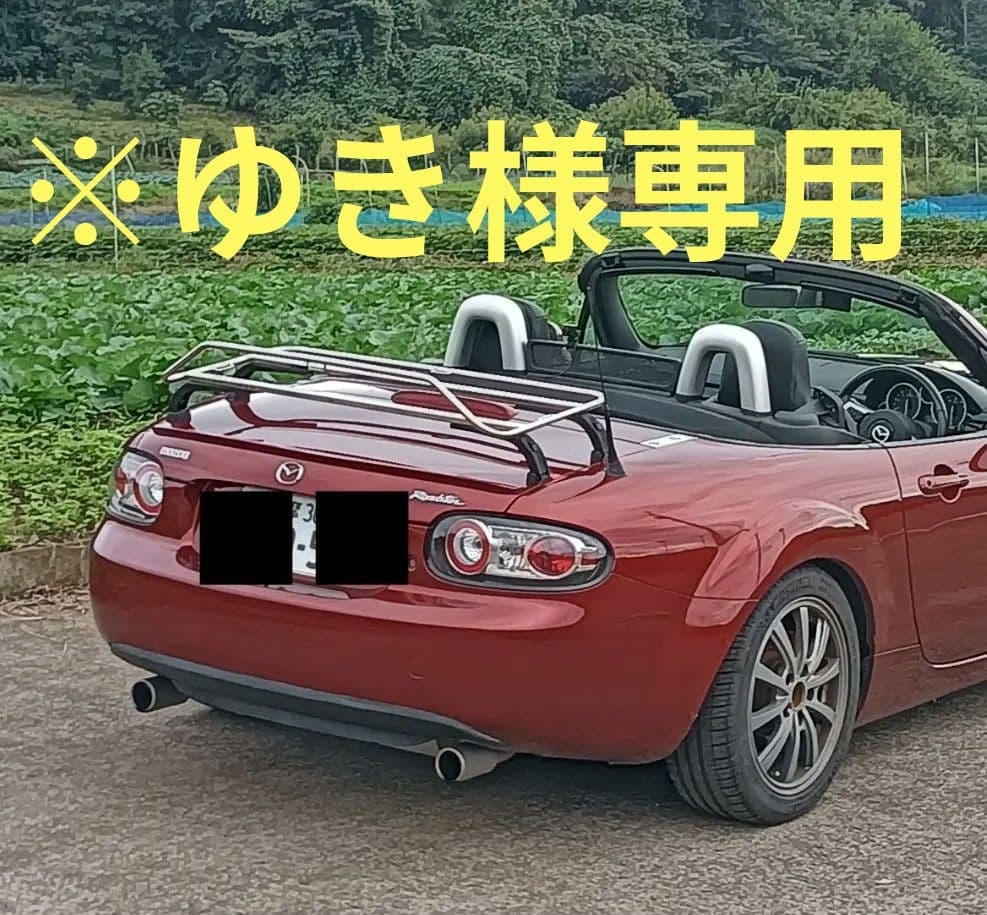 【ゆき】iConcept トランクキャリア ver.3 ICC-050-S