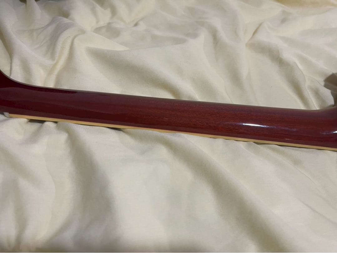 A*P様 Fernandes burny RLG-90 VH-1 hardcas