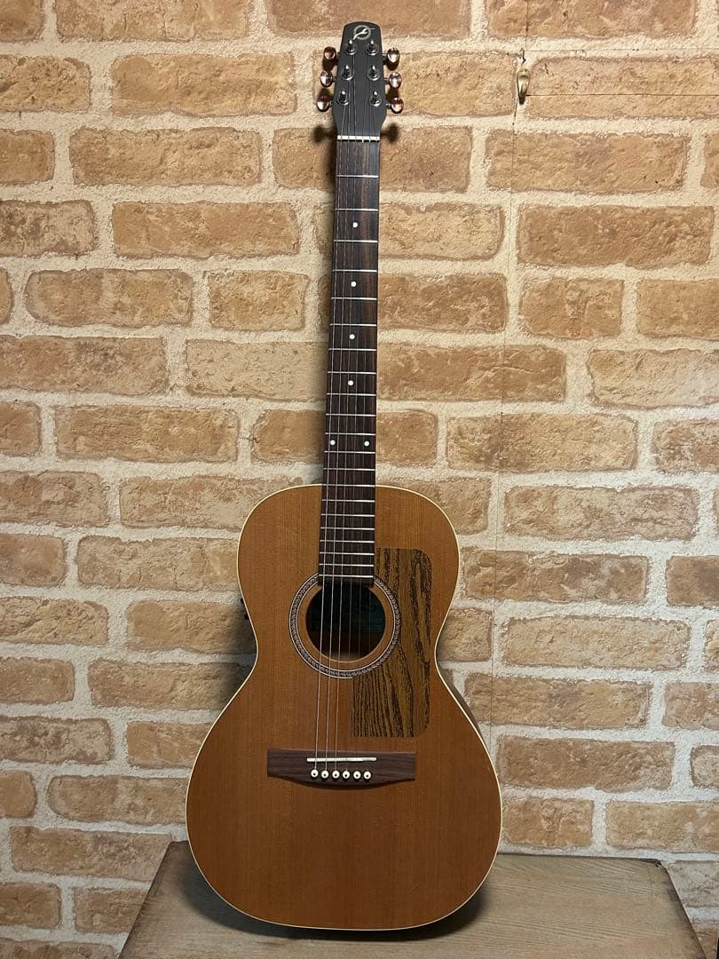 seagull grand(ハードケース付き エレアコ)