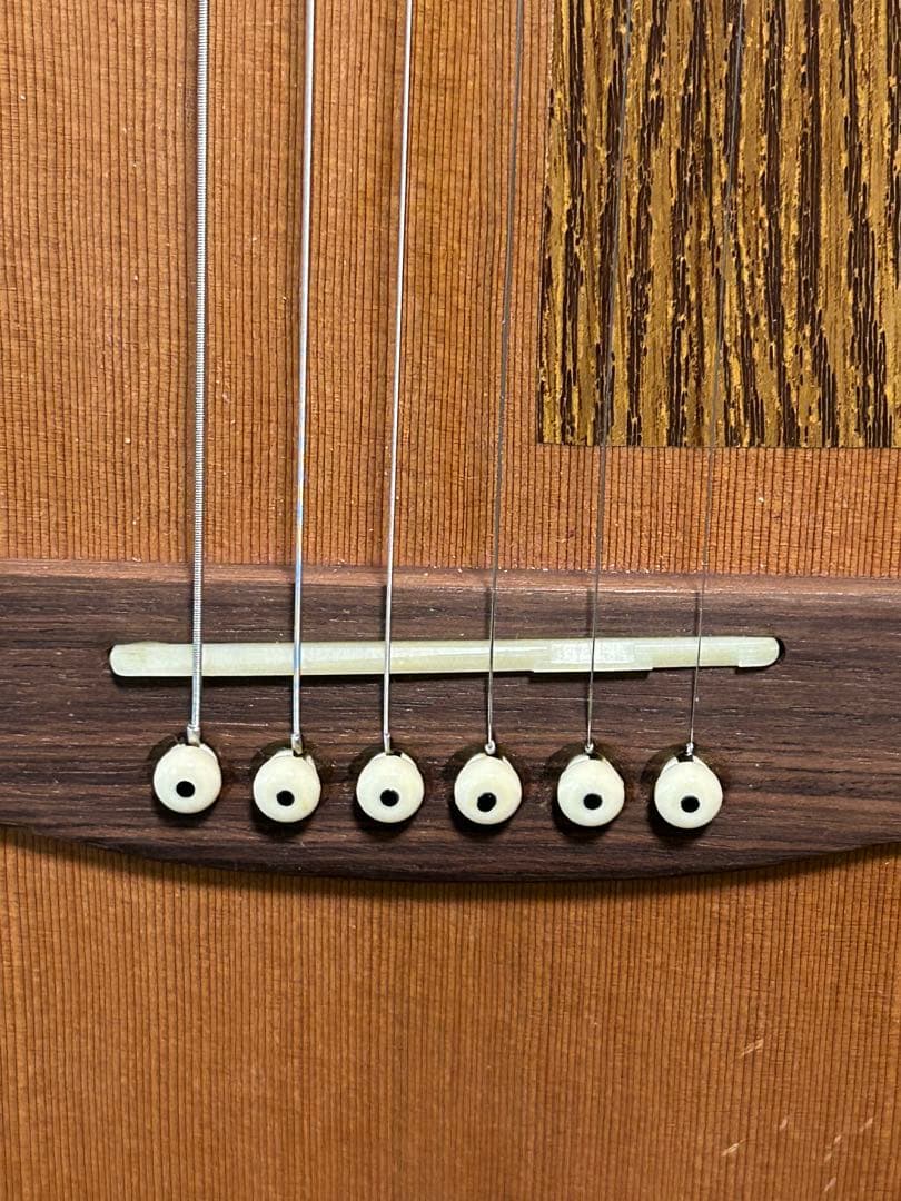 seagull grand(ハードケース付き エレアコ)