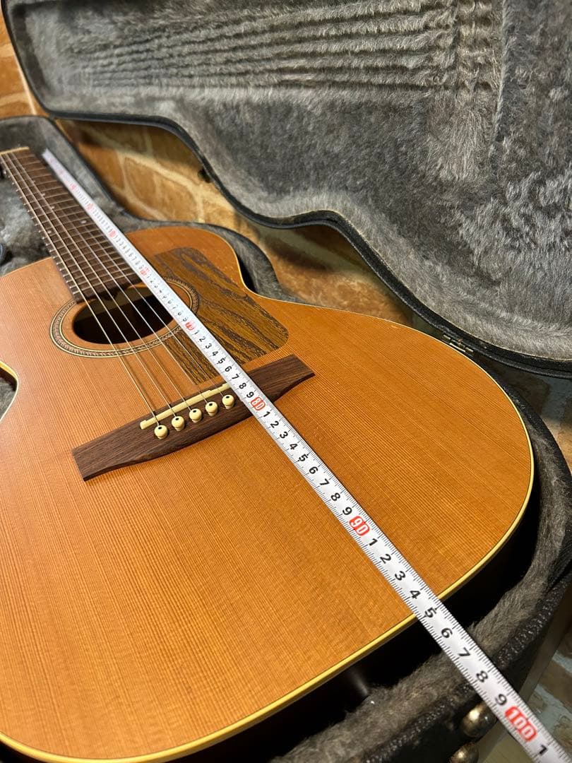 seagull grand(ハードケース付き エレアコ)