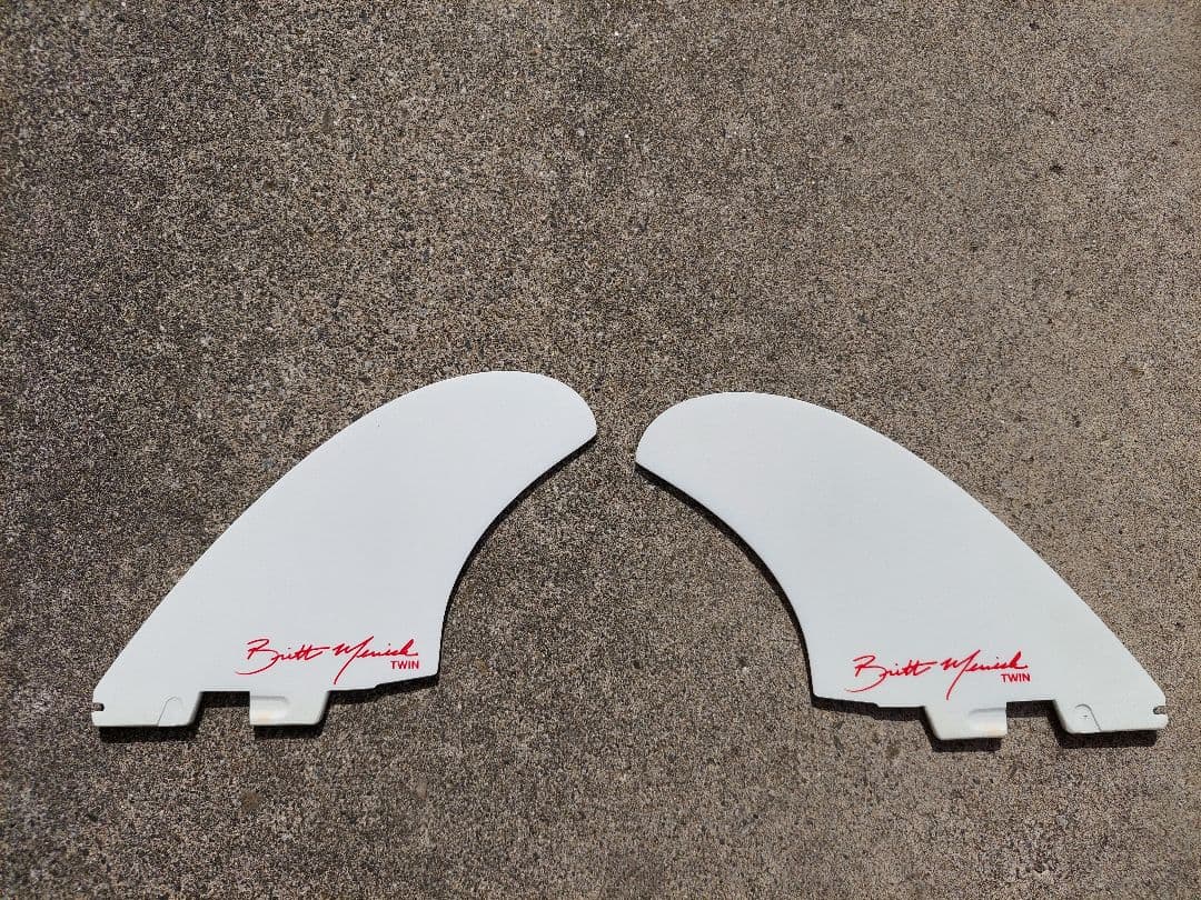 アルメリック　ツインフィン　FCS2