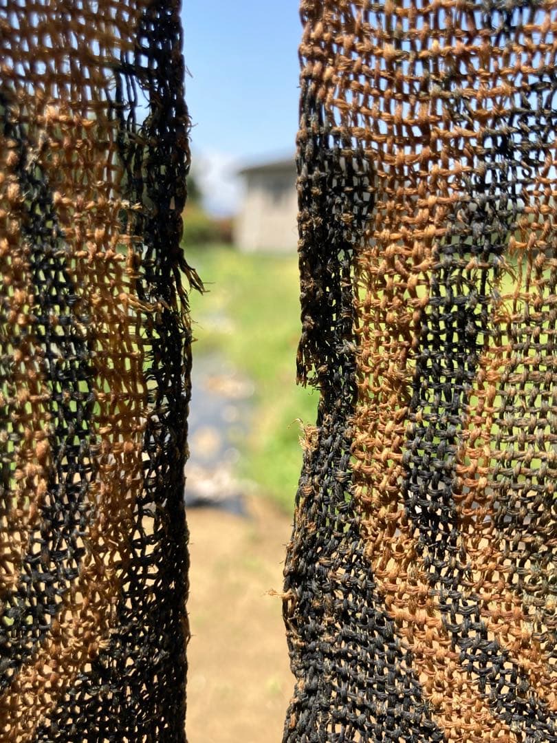 15日木曜までの出品、しな布、榀布、科布、型染め、暖簾、自然布、民藝、伝統工芸