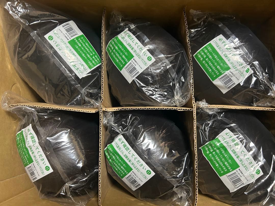 美容師国家試験用カットウィッグ / 本番用 /6体