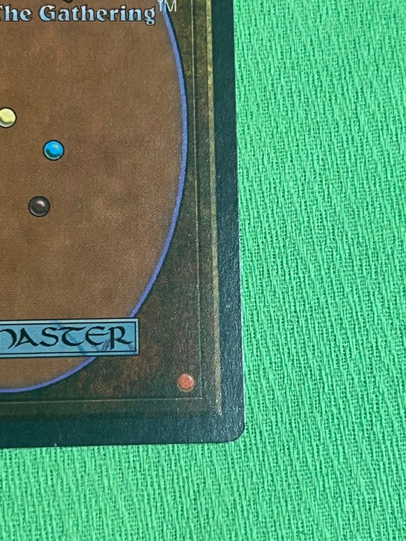 マジック：ザ・ギャザリング MTG Taiga