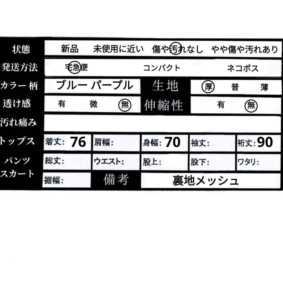 【a2201】DESCENTE スノーボード スキー ウェア XL ブルー