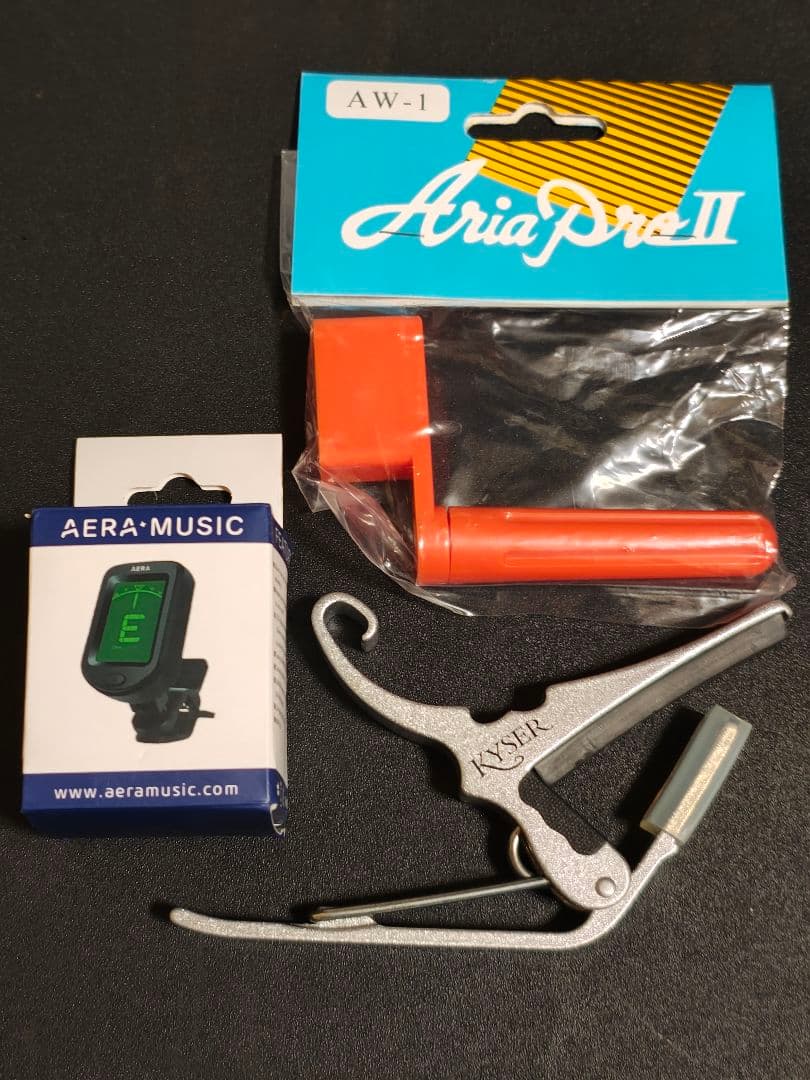 トーチインレイAria ADW-200/JAPANビンテージ/ケース＆オマケ多数