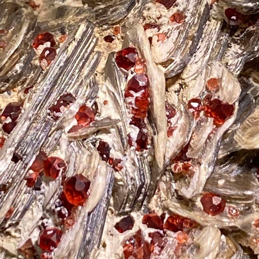 パキスタン産 白雲母上の満礬柘榴石 モスコバイト スペサルティン 外国産鉱物標本