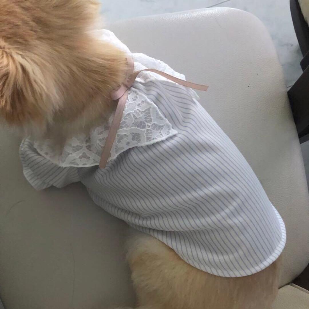 ハンドメイド　カットソー　オーダー小型犬