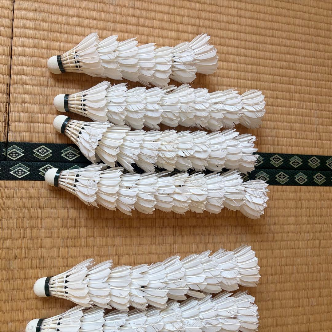 バドミントンシャトル100球