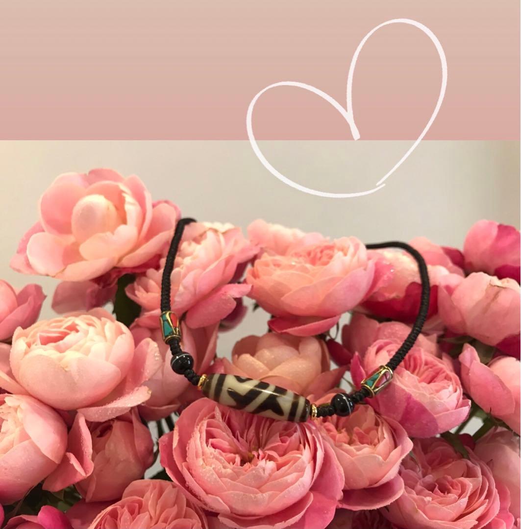 ☘️超レア 双魚金剛二眼天珠 ジービーズ Dzi　ネックレス