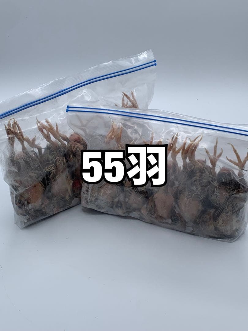 冷凍うずら（55羽）【送料込】