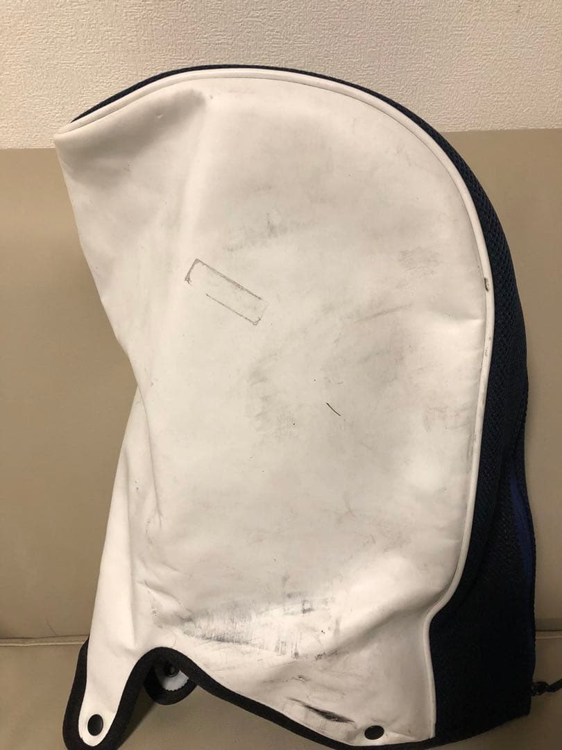 【送料込み】廃盤　超希少　テーラーメイド　キャディバッグ ゴルフバッグ