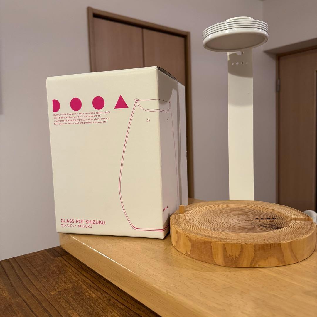 【DOOA】SHIZUKU ガラスポット【ADA】