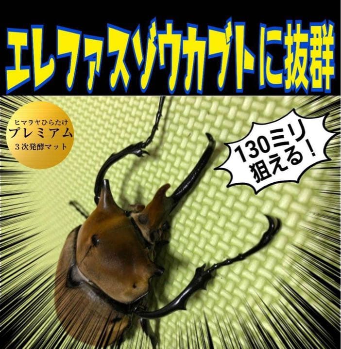 極上！プレミアム発酵カブトムシマット【50L】特殊アミノ酸強化配合！産卵にも抜群