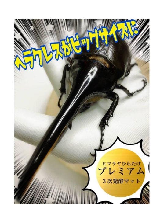 極上！プレミアム発酵カブトムシマット【50L】特殊アミノ酸強化配合！産卵にも抜群