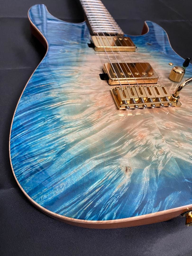 【極美品】T's Guitars DST-Pro24 ～Legend Blue～