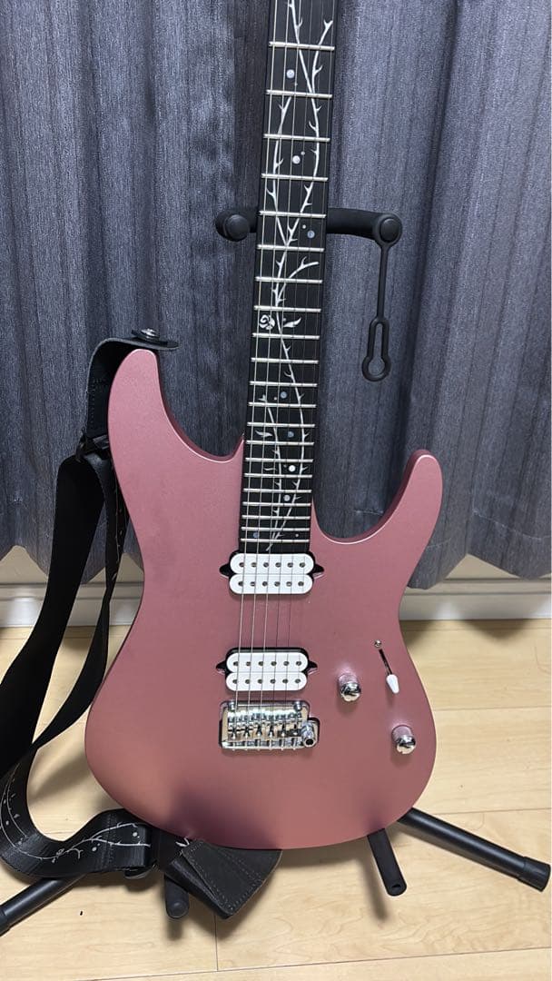 R*D様 Ibanez TOD10MM Timhenson signature