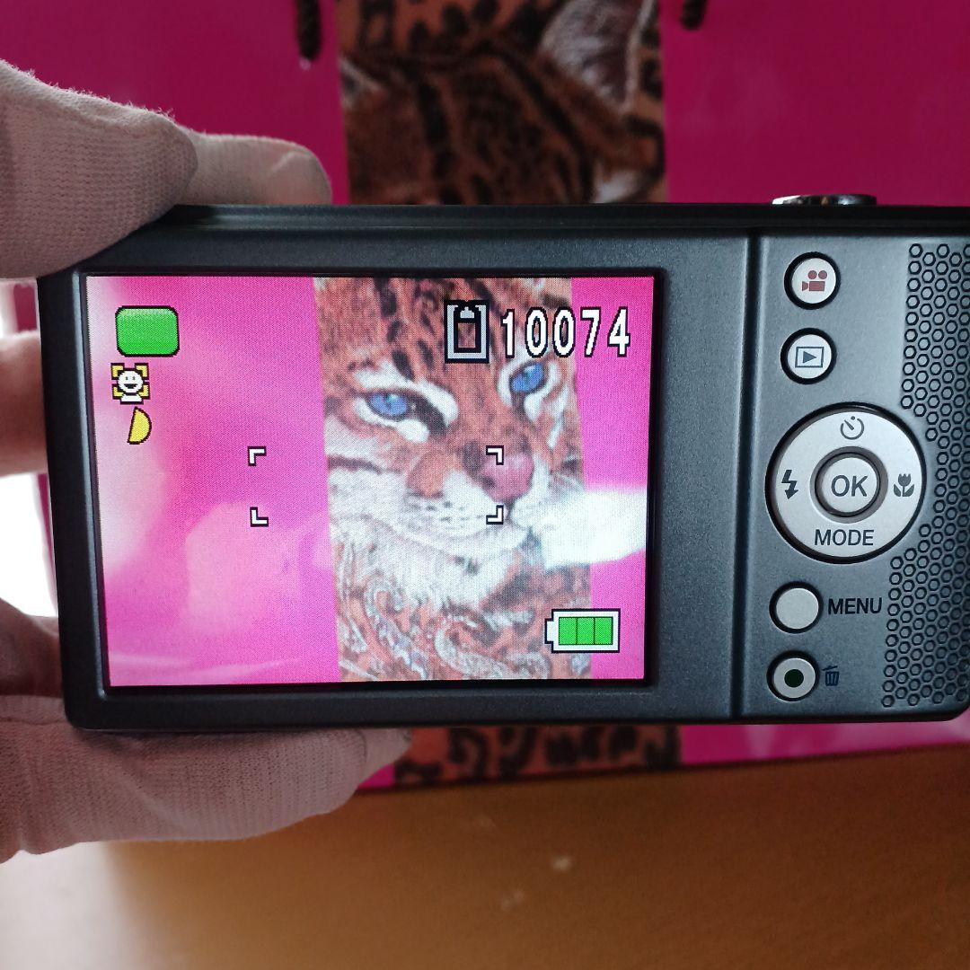 く*ん様 PENTAX Optio VS20 デジタルカメラ 32GB付き