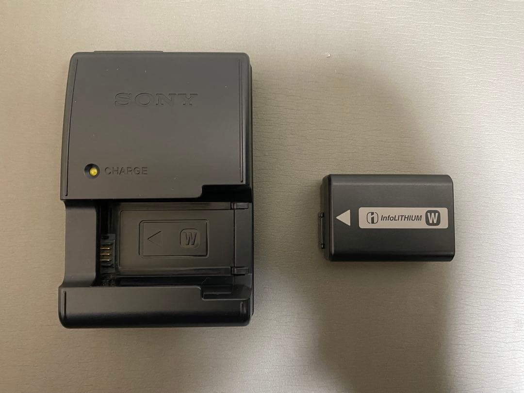 SONY SLT-A37 α37 カメラ レンズ2本セット