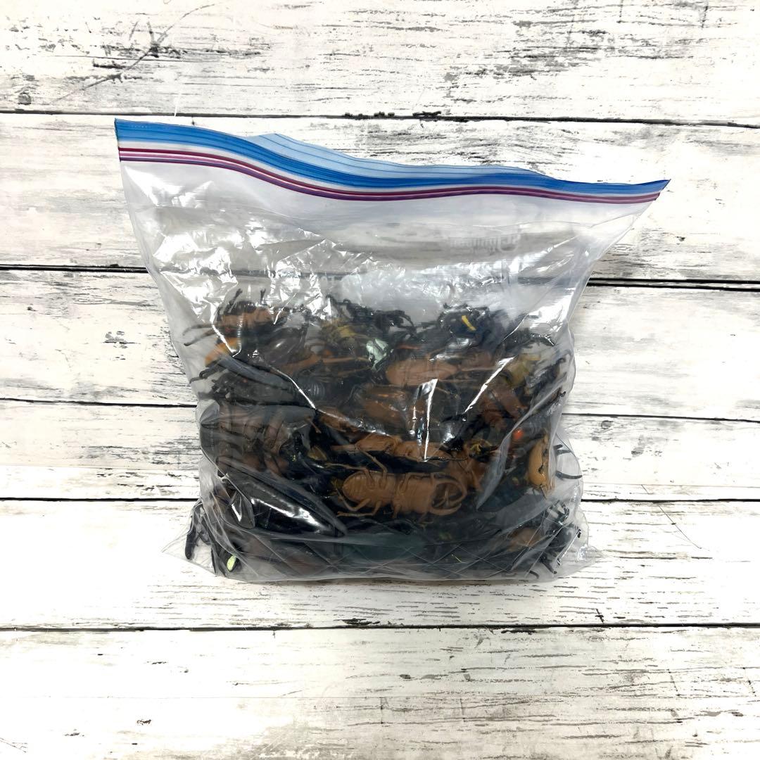 昆虫　フィギュア