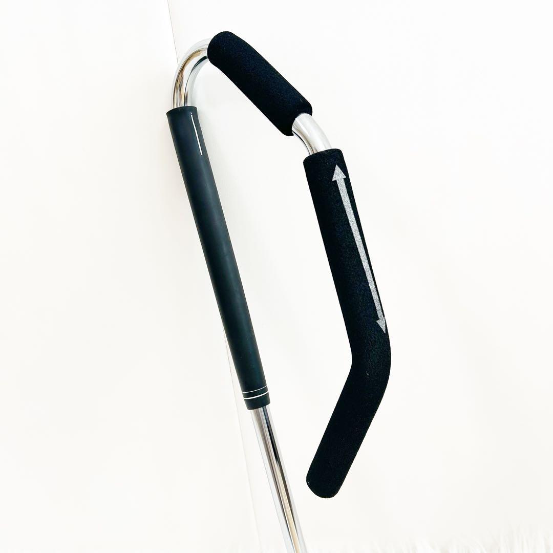 ゴルフの堅琴 アナライズ ゴルフ練習 マーク金井　スイング練習