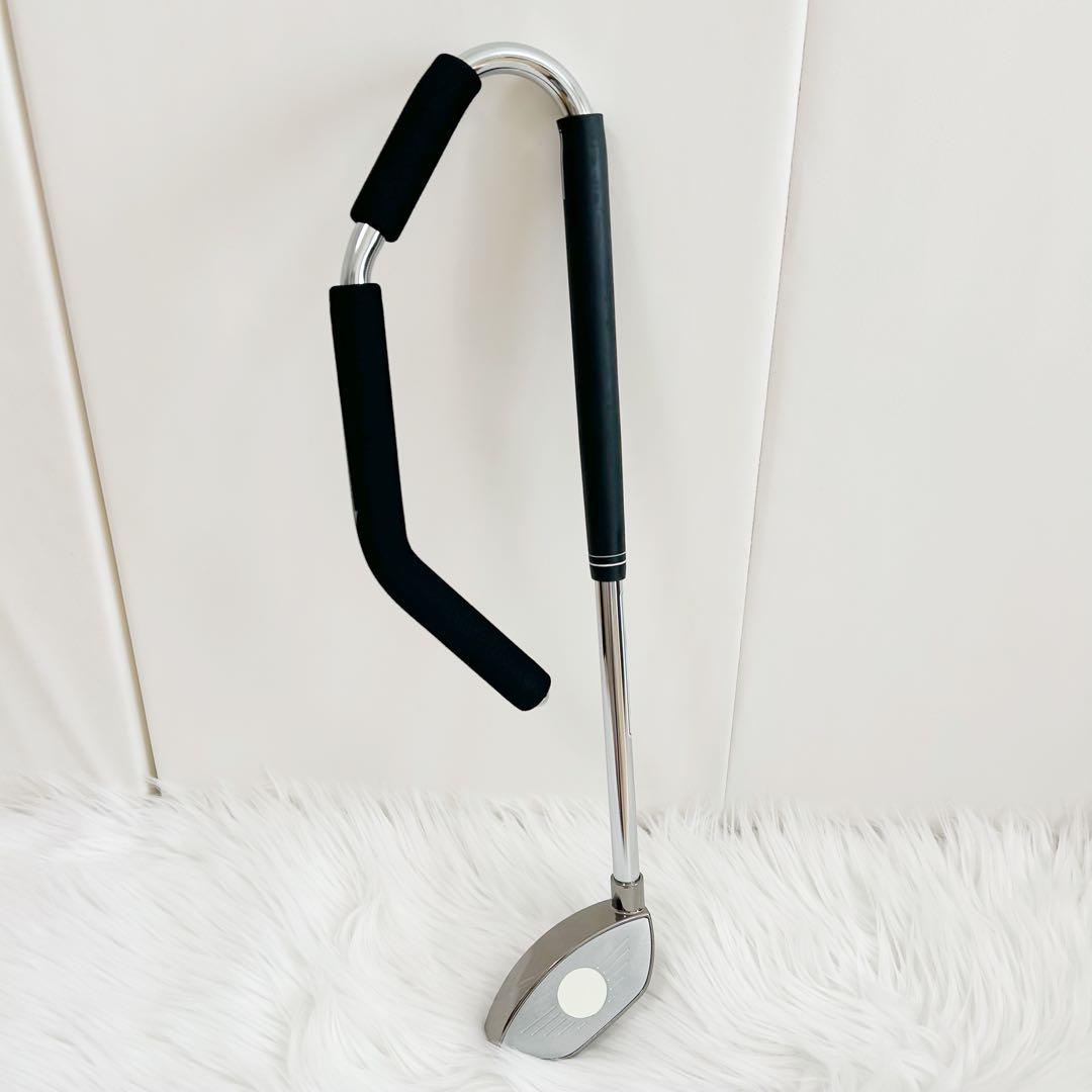 ゴルフの堅琴 アナライズ ゴルフ練習 マーク金井　スイング練習