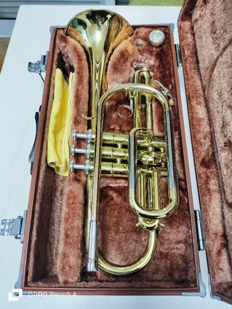 ゴールドトランペット クリーニングクロス付き