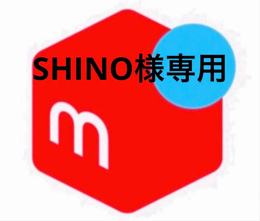 その他 SHINO