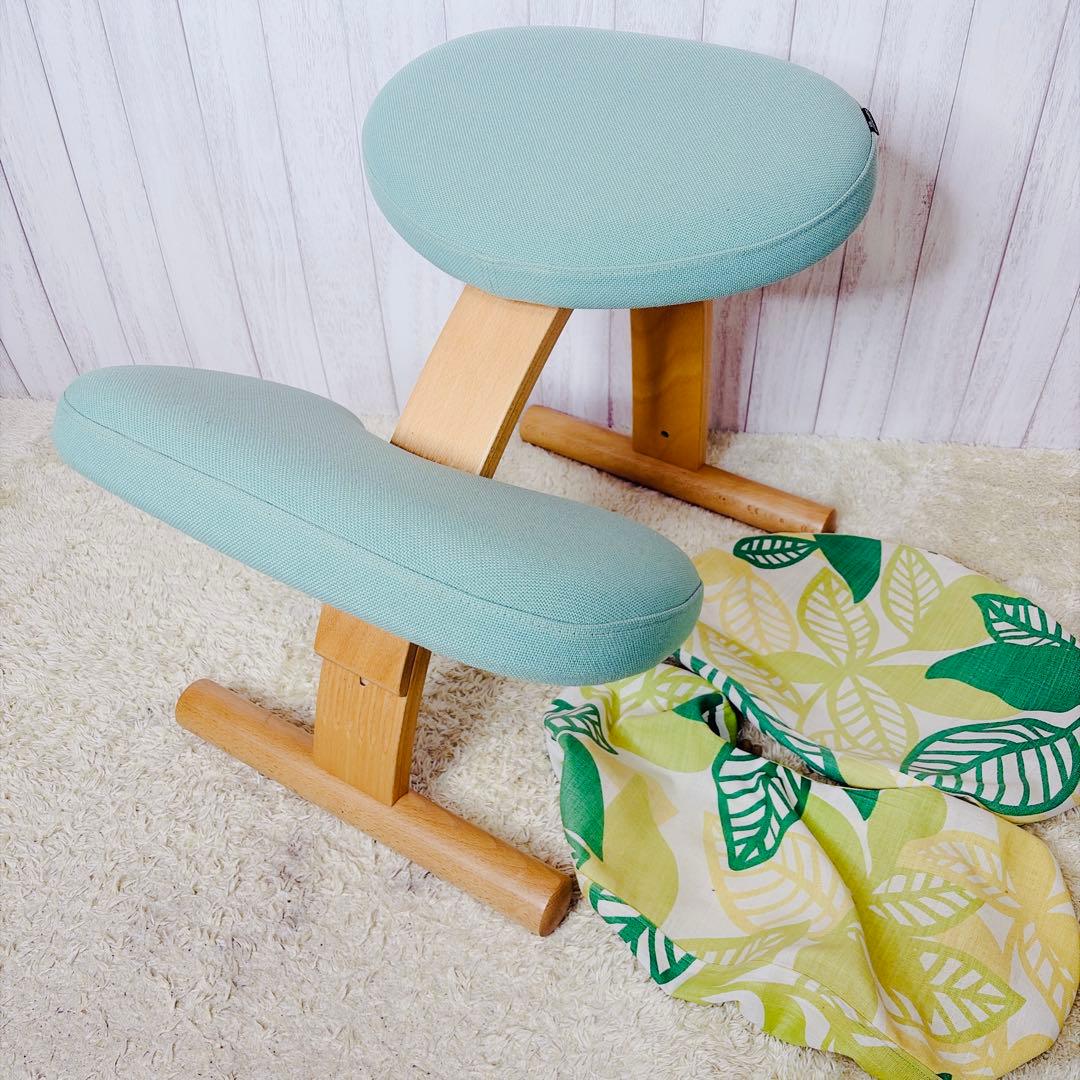 【極美品】サカモトハウス 姿勢矯正 バランスチェア バランスイージー