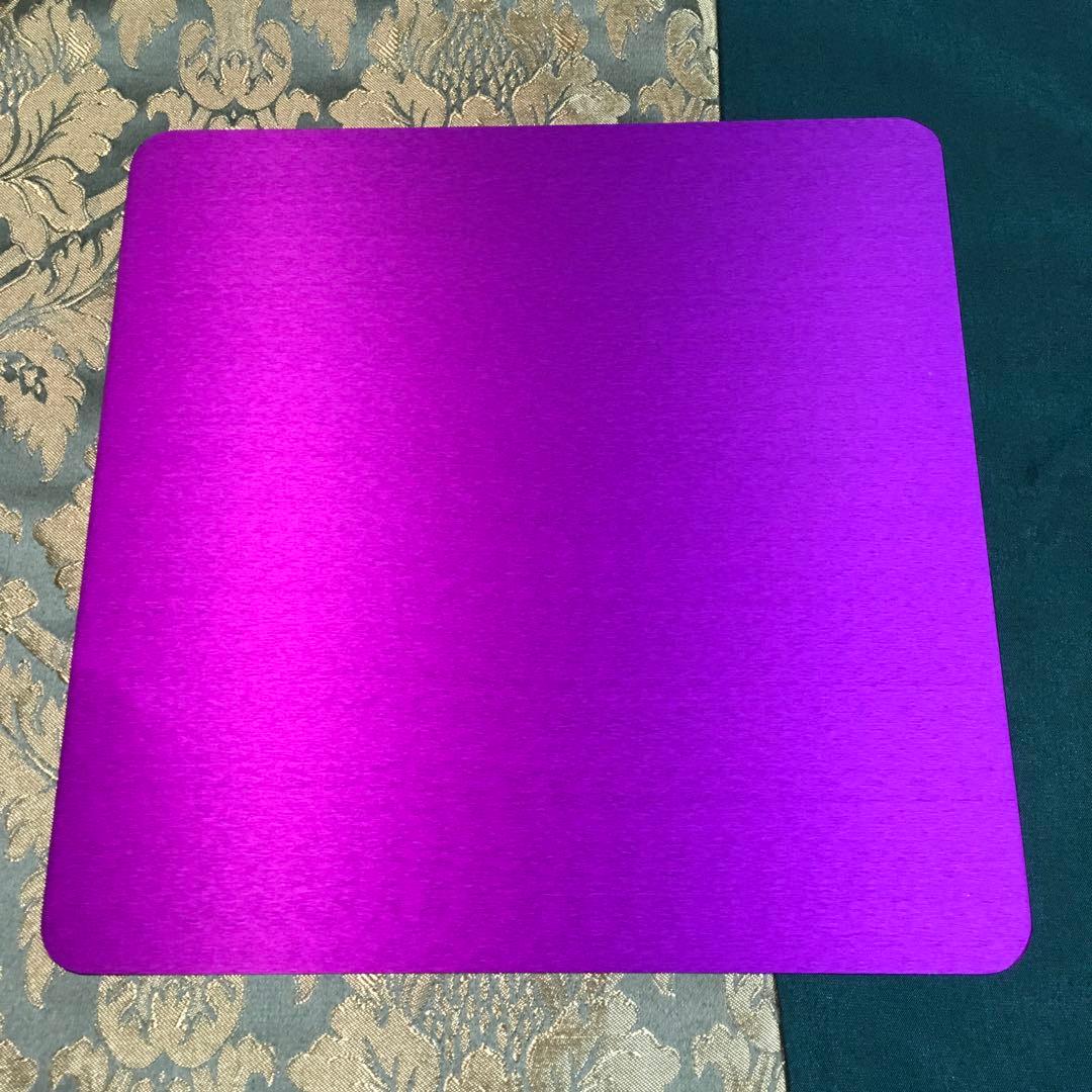 テスラ　パープルプレート　Lサイズ二枚セット