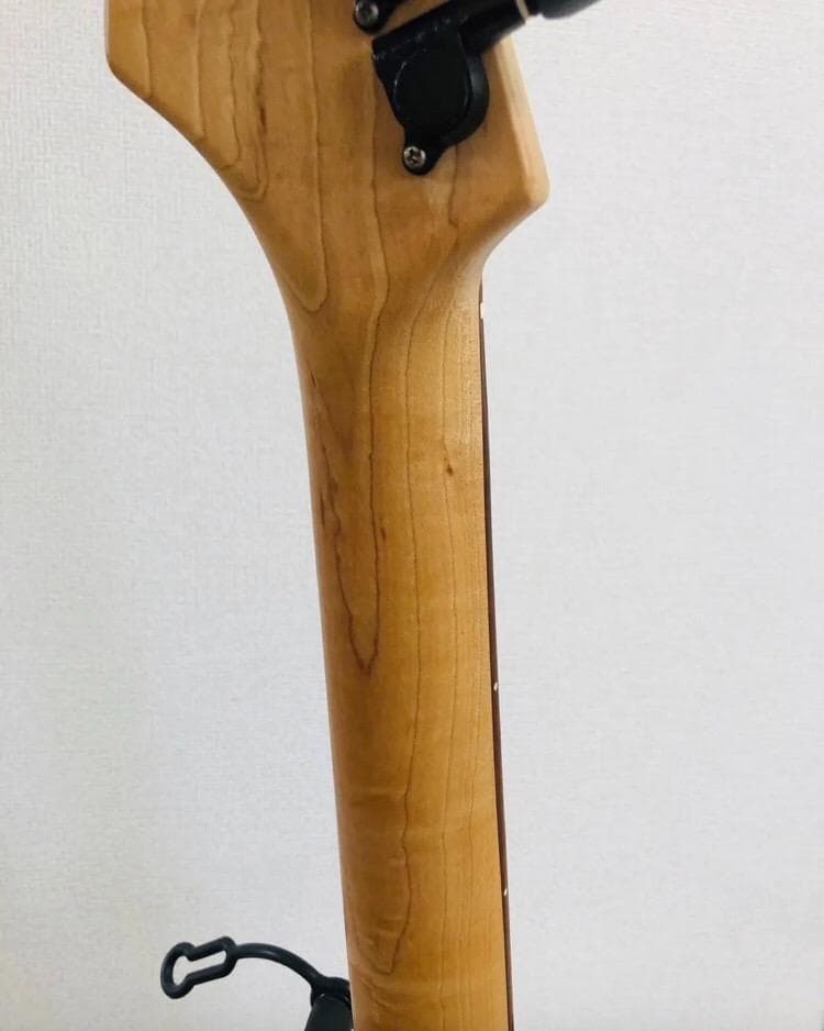 Bacchus BST-1R 3TS ストラトタイプ サンバースト ソフトケース