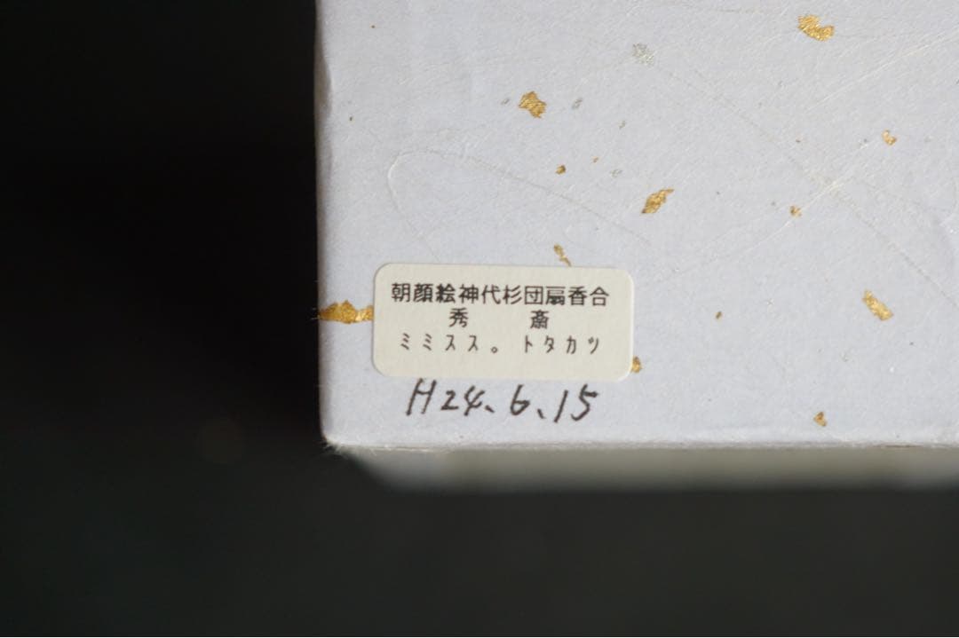 中谷秀斎 神代杉 団扇 香合 朝顔 共箱 うちわ型 茶道具