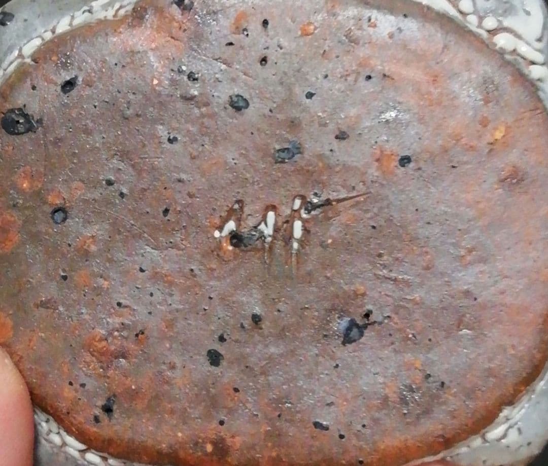 中川自然坊作　唐津焼　亀　香合　共箱　共布　略歴付　茶道具