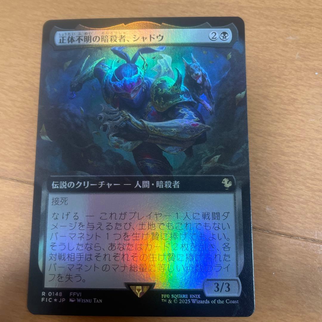 MTG 稀少 正体不明の暗殺者、シャドウ 日本語 拡張アート FOIL