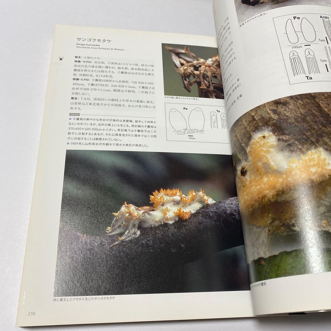 冬虫夏草生態図鑑 採集・観察・分類・同定、効能から歴史まで 240種類