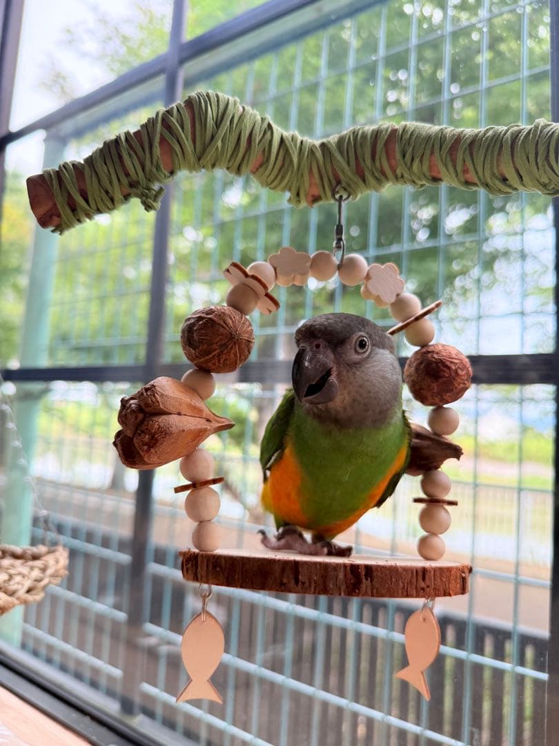 インコのおもちゃ 作品紹介