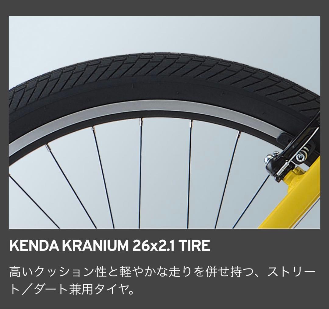 Rojan Rajthala　giant SNAP2022年白マウンテン