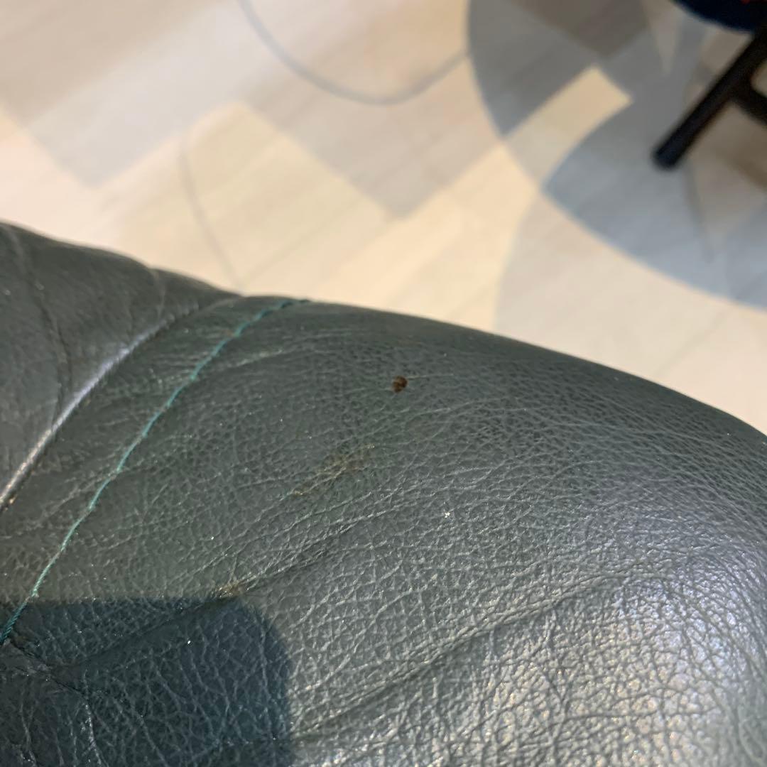 かずさん　エコーネス　リクライニングチェア　オットマン　グリーン