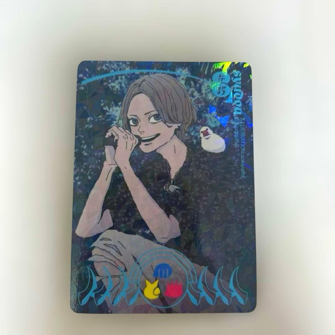 【最安値‼️】syudou露骨トレーディングカードシークレット