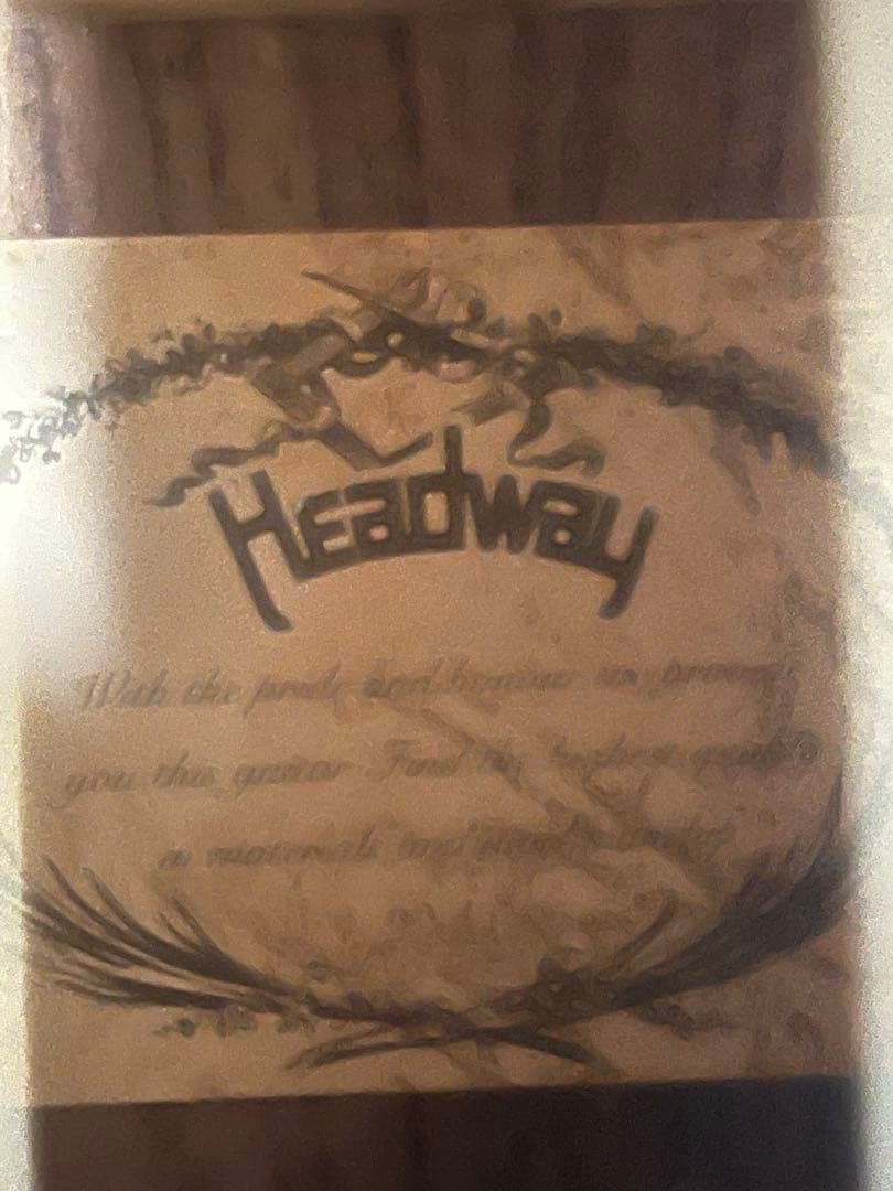 HEADWAY アコースティックギター HCD-40S レア 希少 アコギ