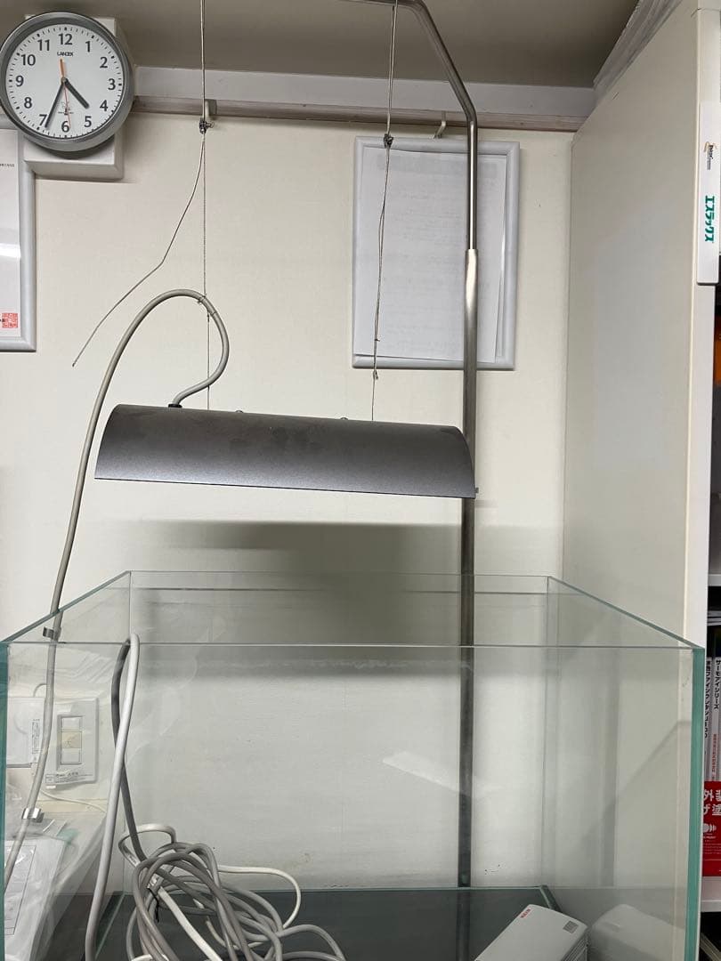 アクアリウム　アクアデザインアマノ