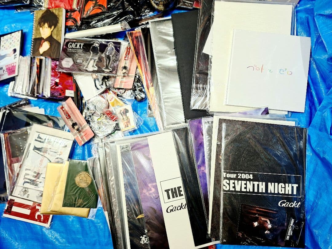 GACKT グッズまとめ ツアーパンフレット/写真集/タオル/ぬいぐるみなど　A